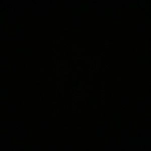 Meet your Posher, Koralys